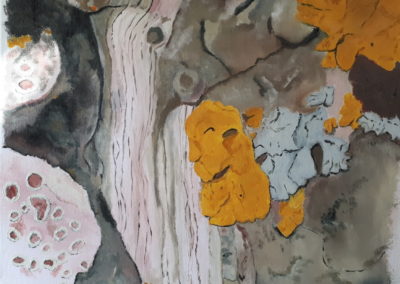 Ecorce et lichens huile sur toile